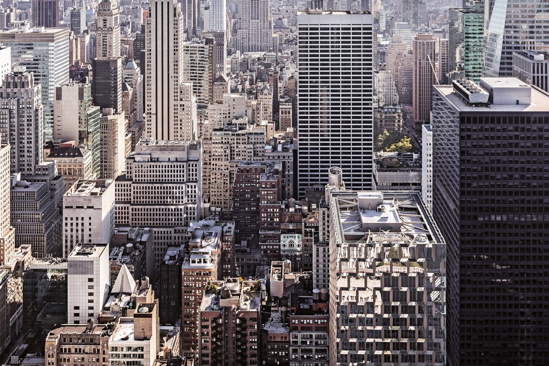 The Shape of Rent
