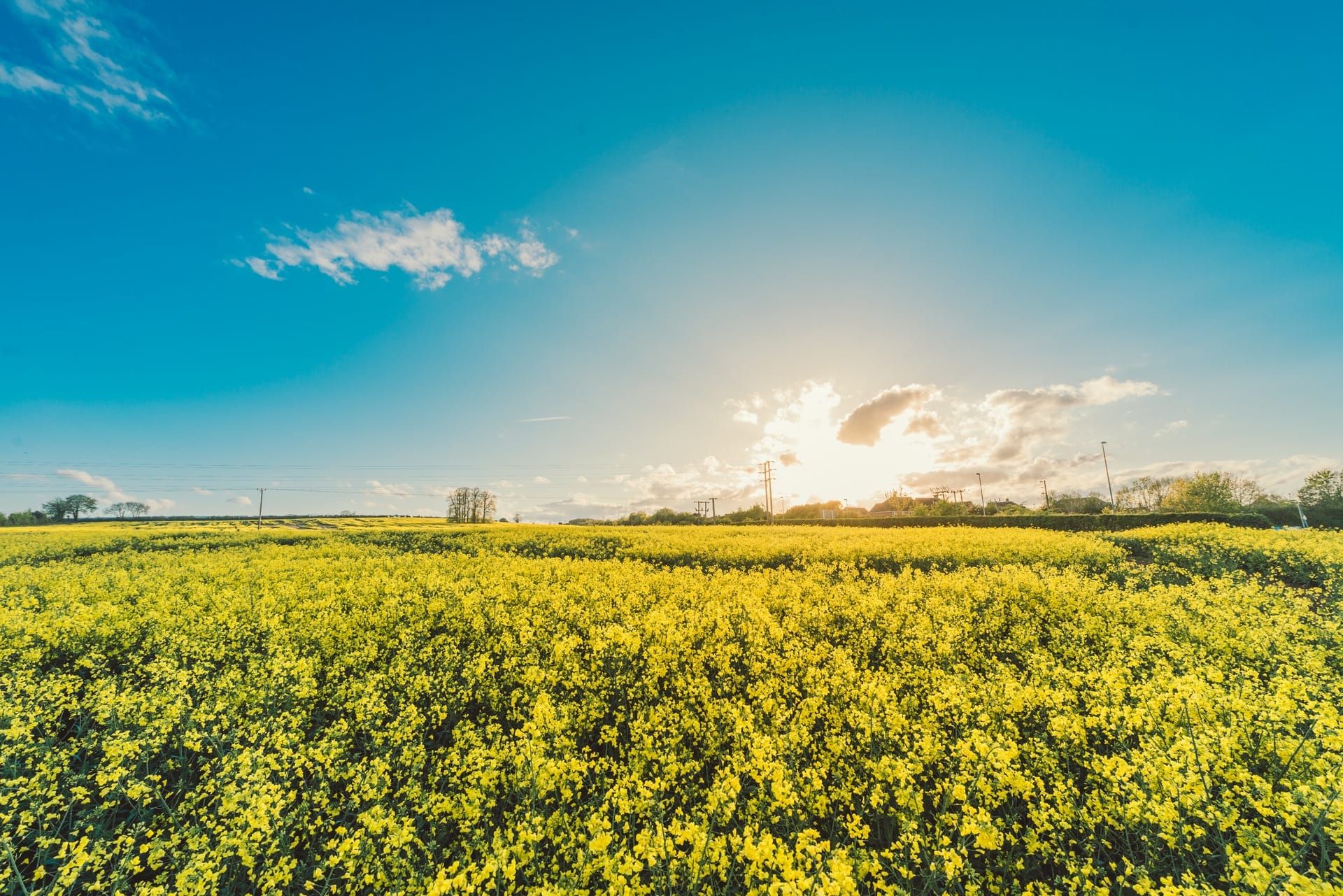 Nature’s Droughts Reined in by Natural Law