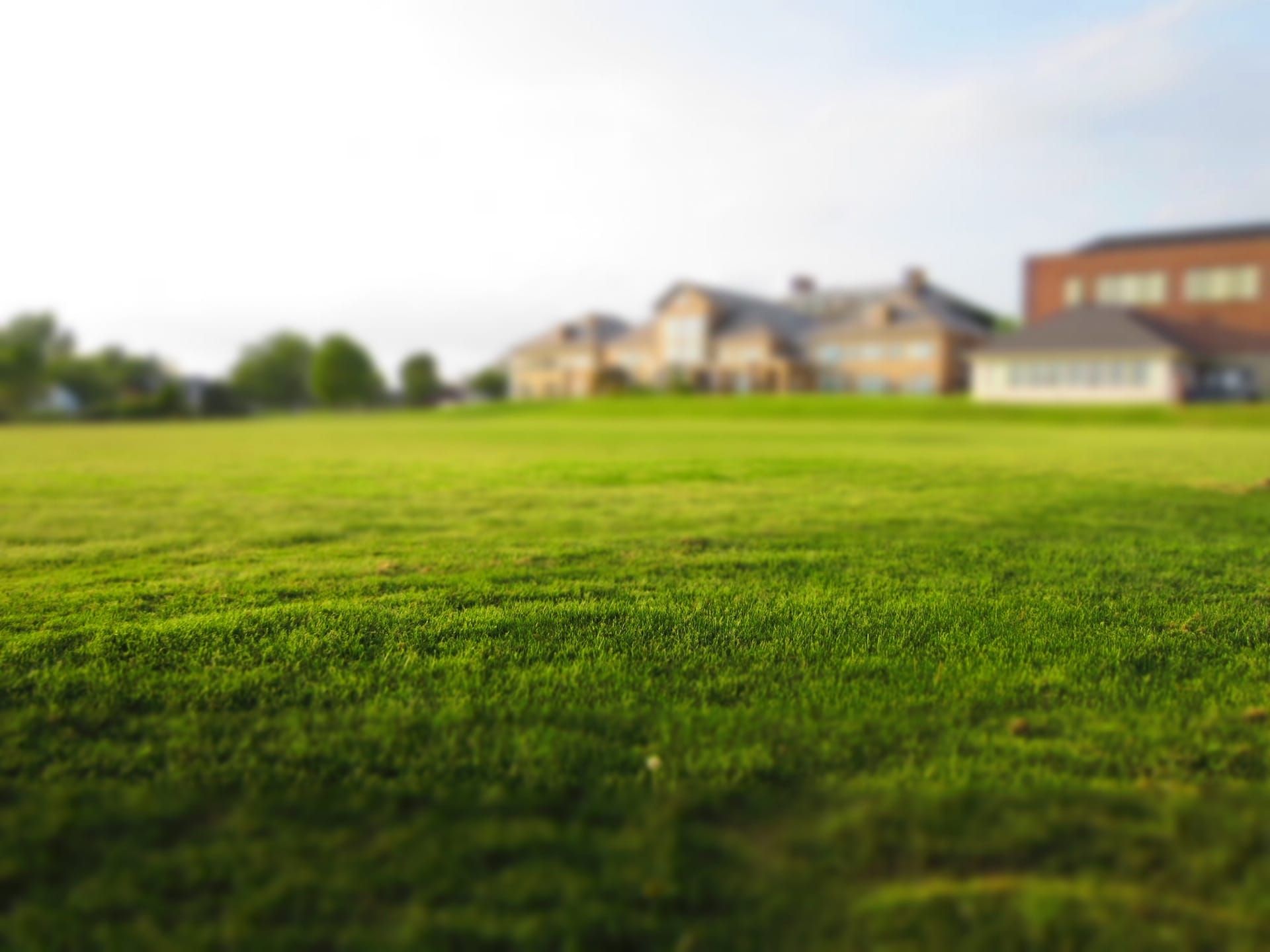 History is Just Another Word for Land Speculation
