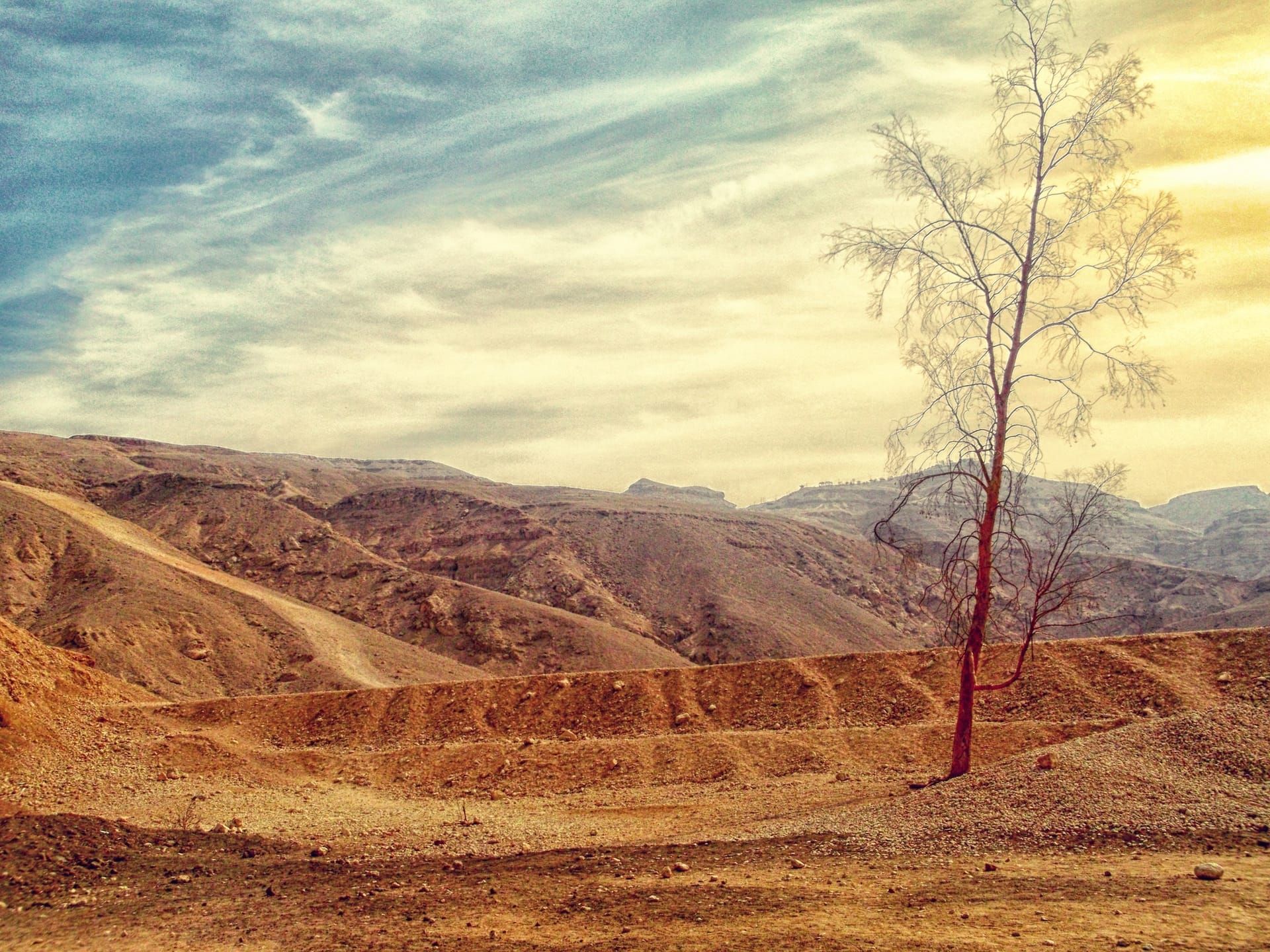 Land in Ancient Israel and Early Zionism