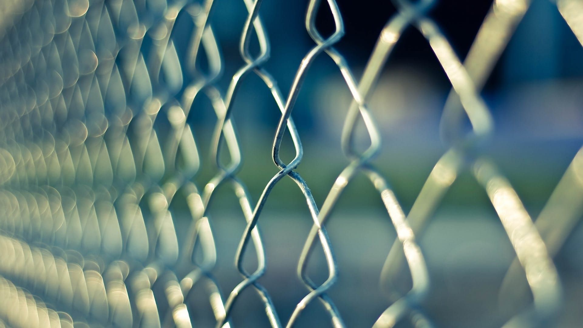 Oshan Cook: A Call for Presidential Clemency
