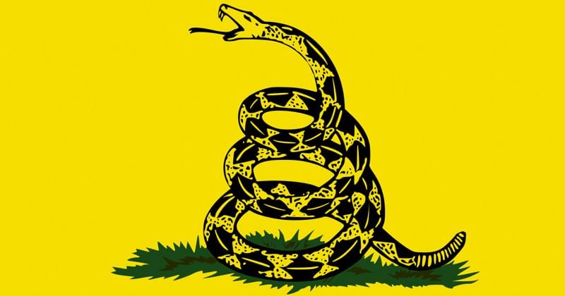 U.S. Government Voiding the First Amendment
