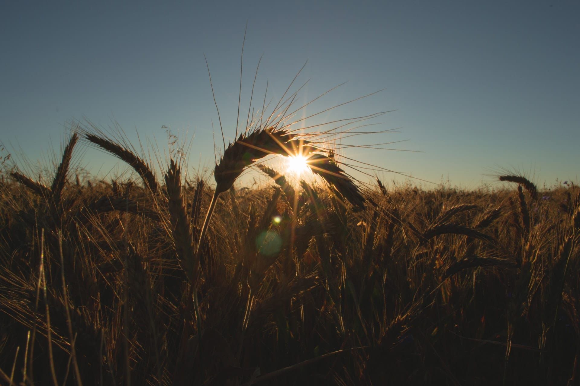 US Agriculture Will Collapse
