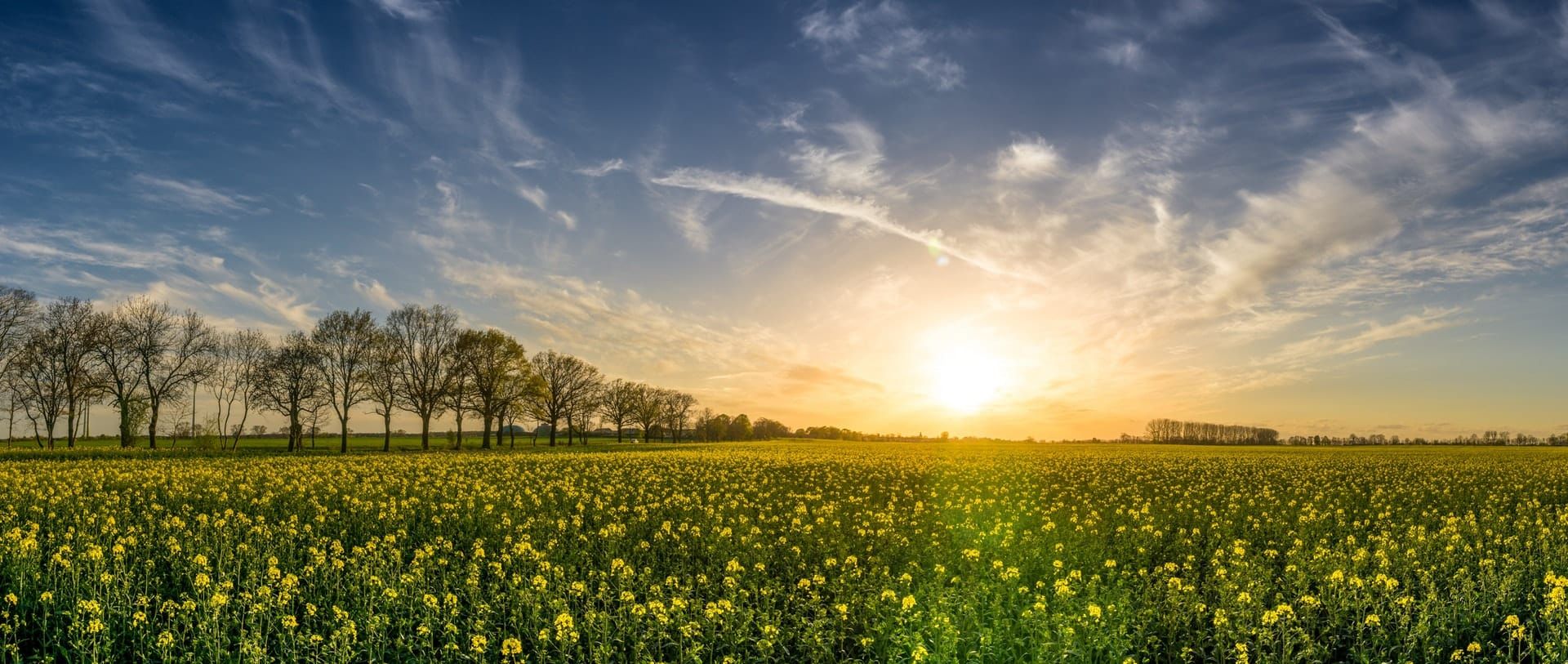 Why Research Farmland Ownership And Values? Part 2