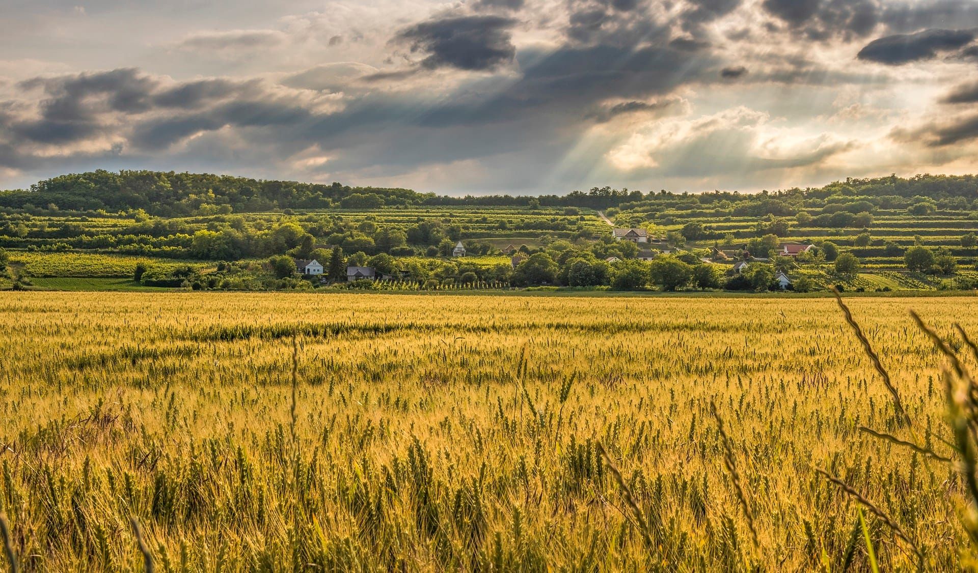 Why Research Farmland Ownership And Values? Part 4
