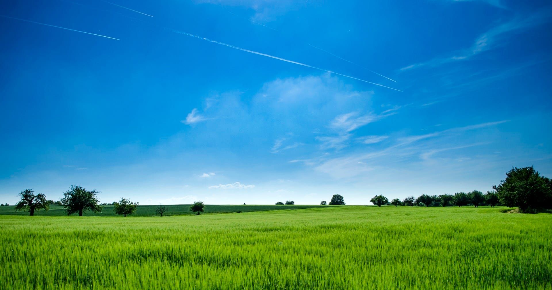 Why Research Farmland Ownership And Values? Part 8