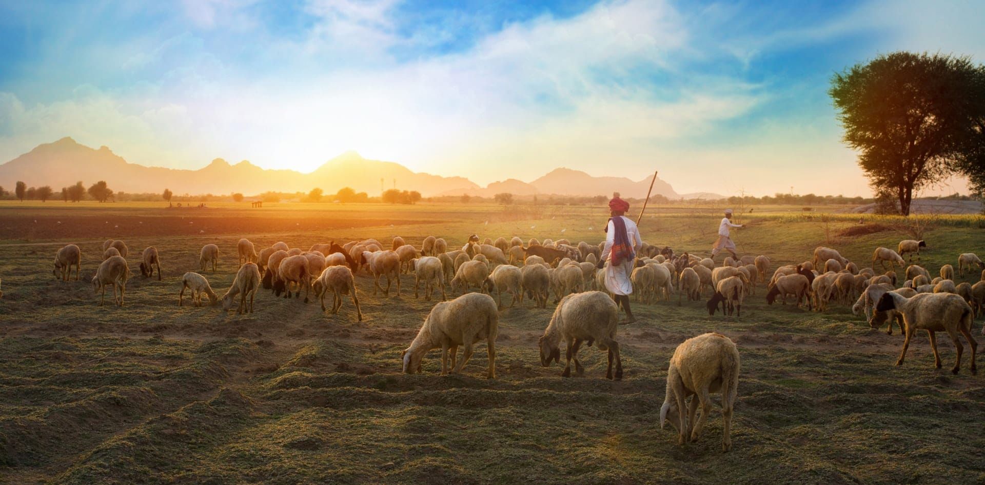 Understanding Land Speculation