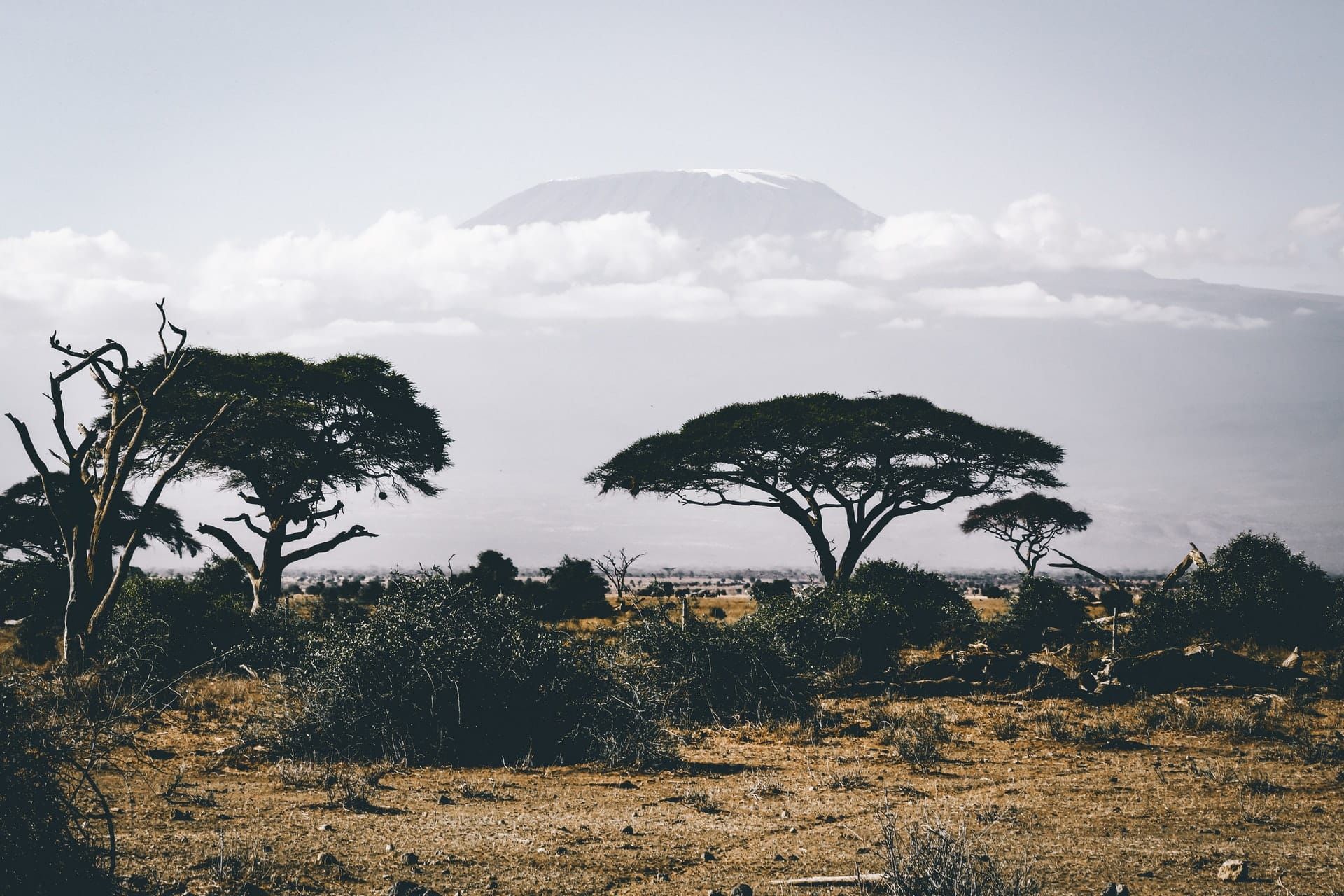 Population in Africa: Whirlwind, or Just Spin?