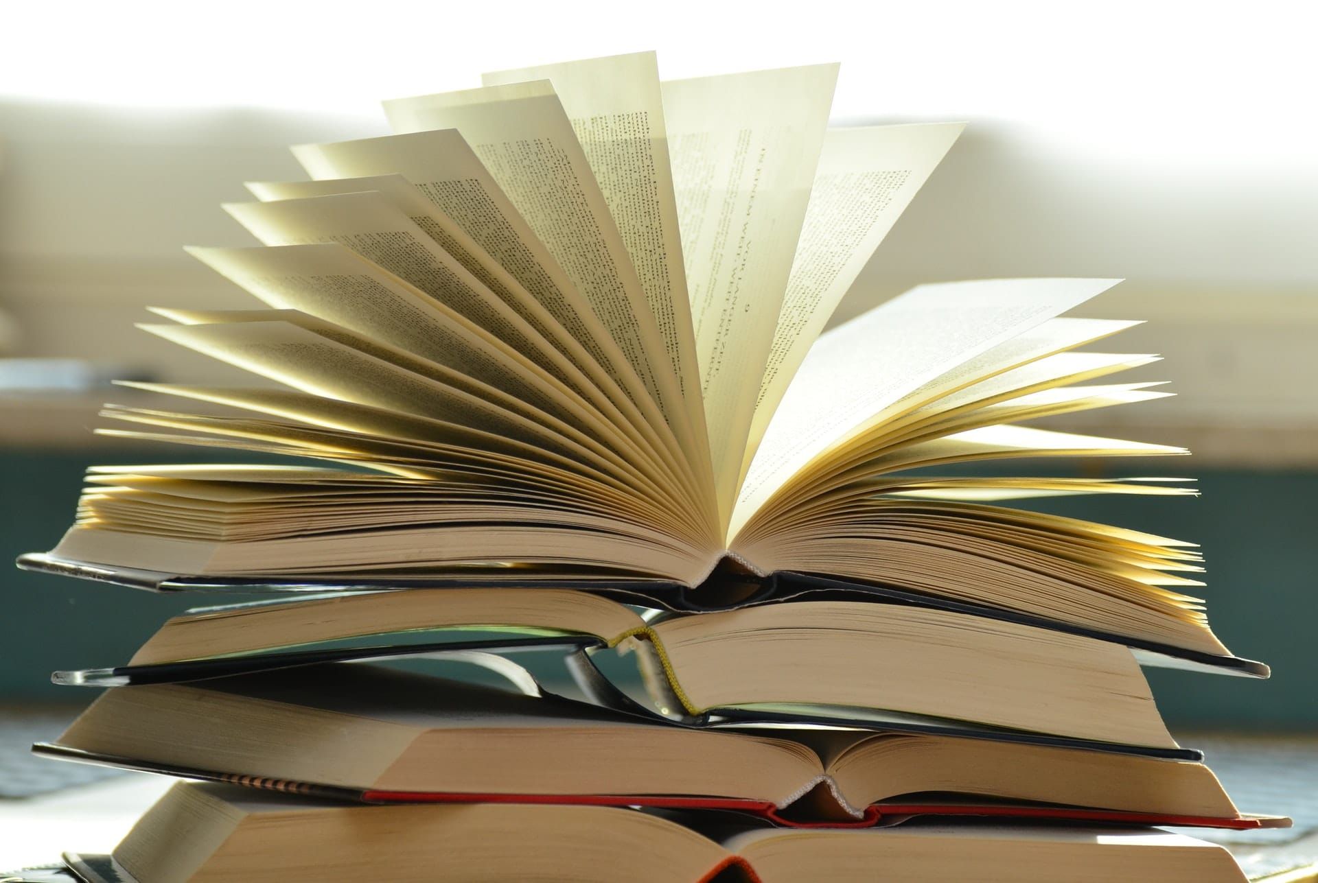 1890 Georgist National Platform Reading List