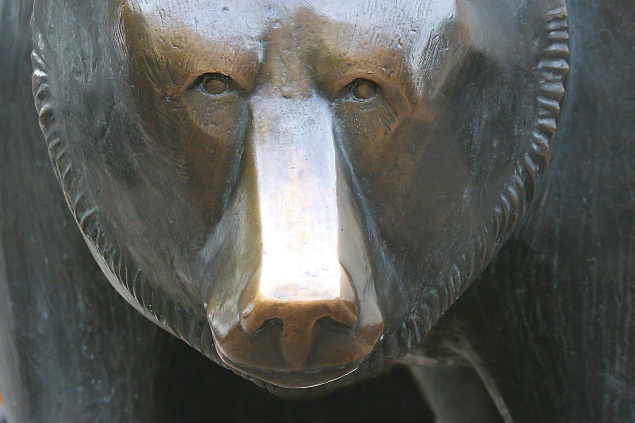 The Bear Will Get You