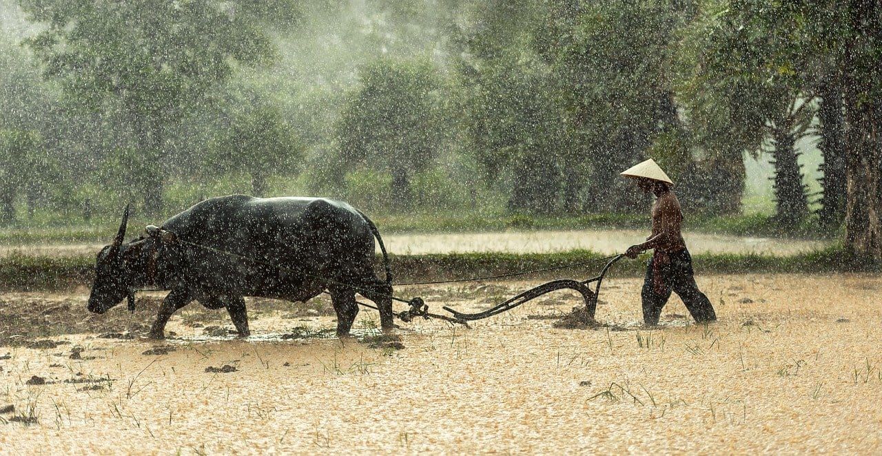 The Burma Slaves