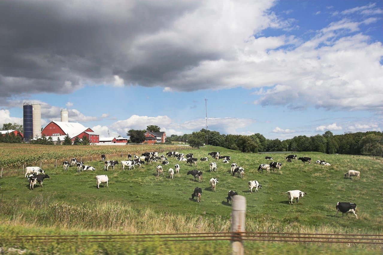 Can competing groups find a way to share land?
