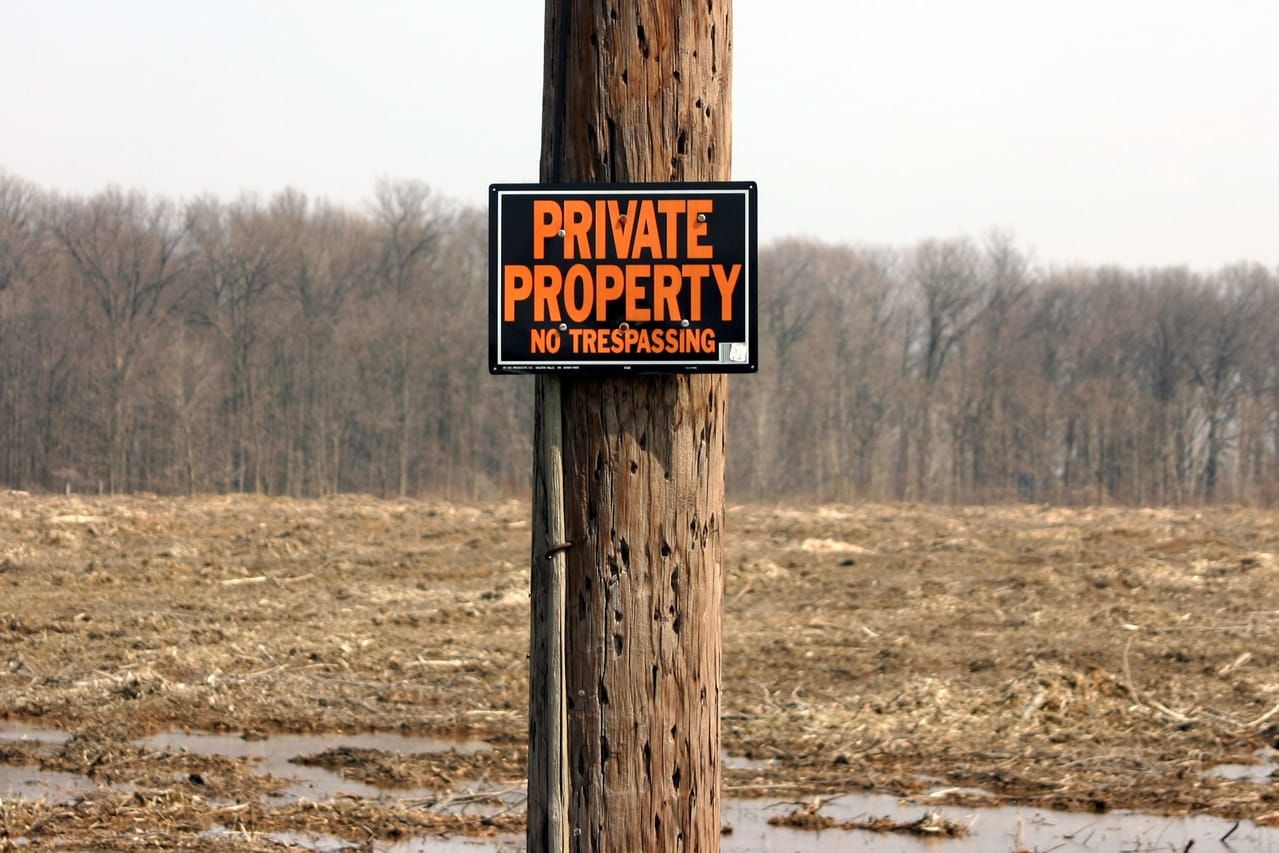 What Should Be Public, and What Should Be Private?