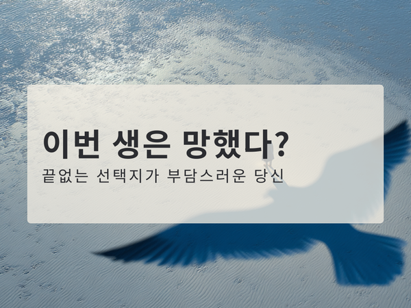 "이번 생은 망했다?" 끝없는 선택지가 부담스러운 당신