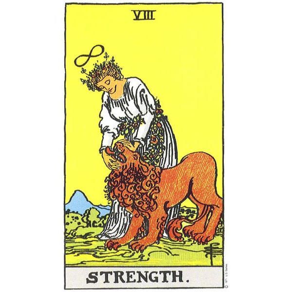 VIII Strength