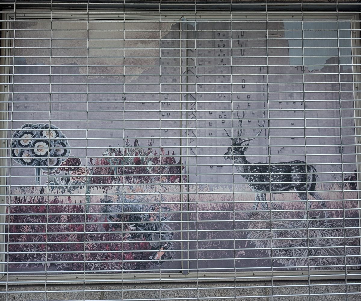 "Not everyone gets to do this."