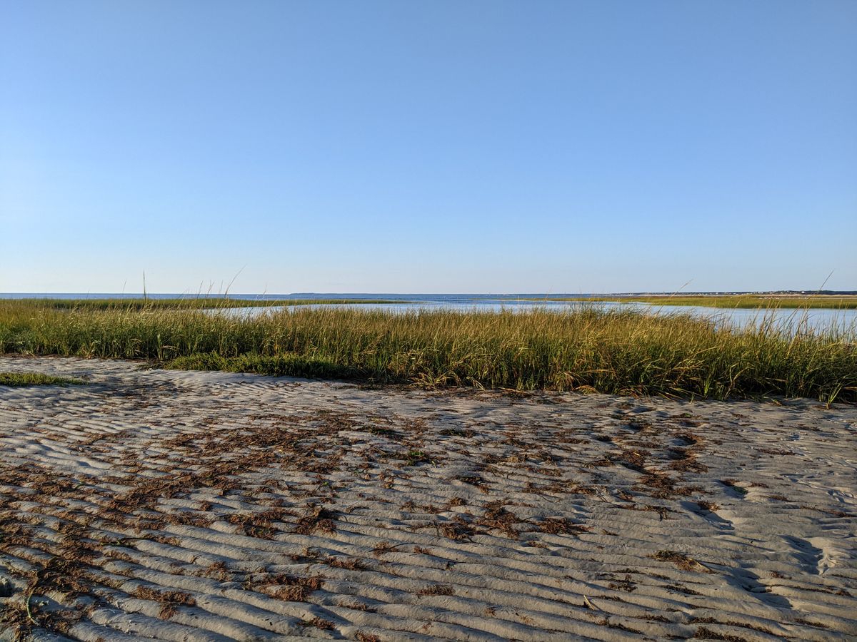 "I've been so good this week."