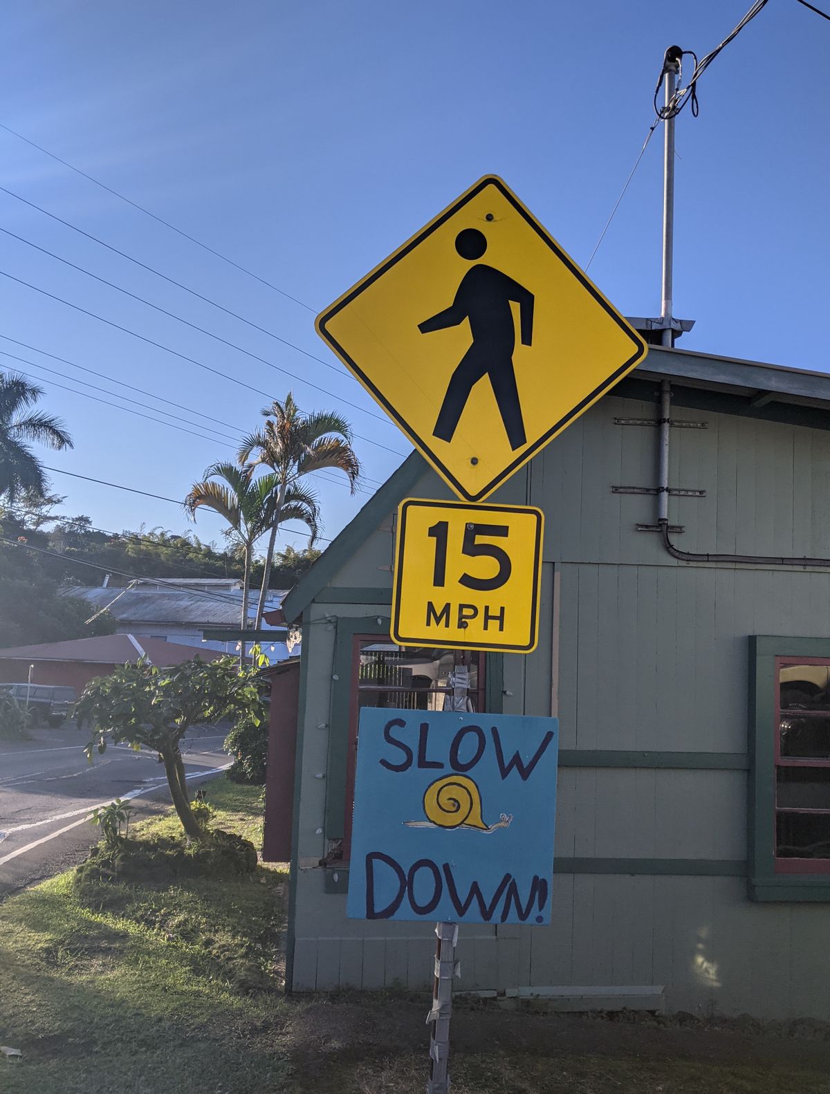 The slowest year of my life