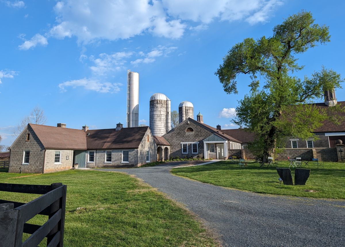 "What would Joan Didion do?"