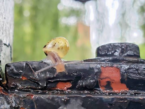 A cat is a noise sink.