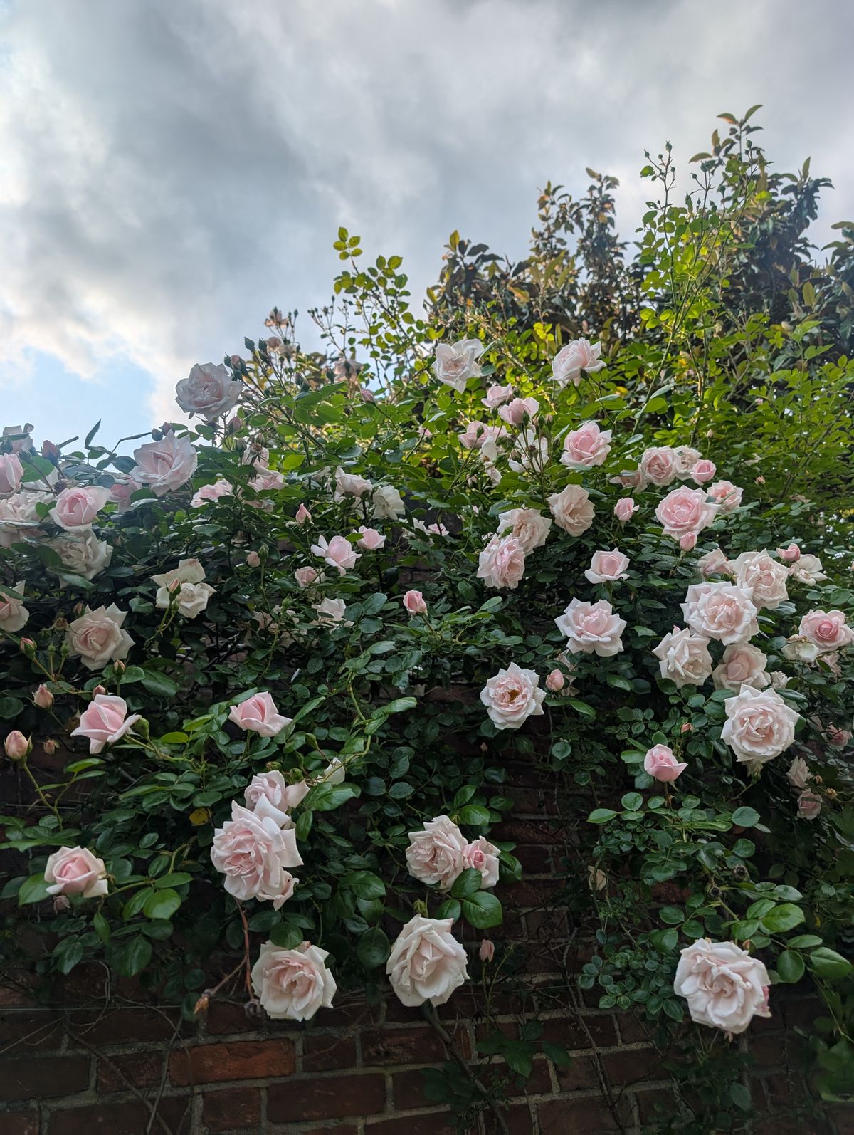 Day & Night & Day Again