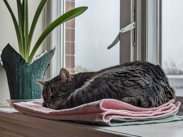 Brought to you by the letter Z