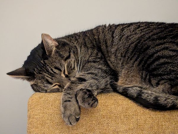 Daydream and dead end