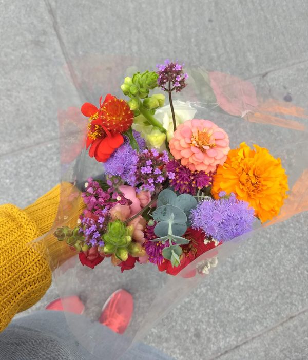 This is the letter this week