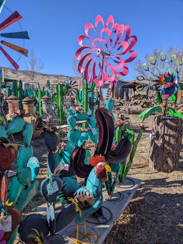 Subaru, armadillo, tumbleweed