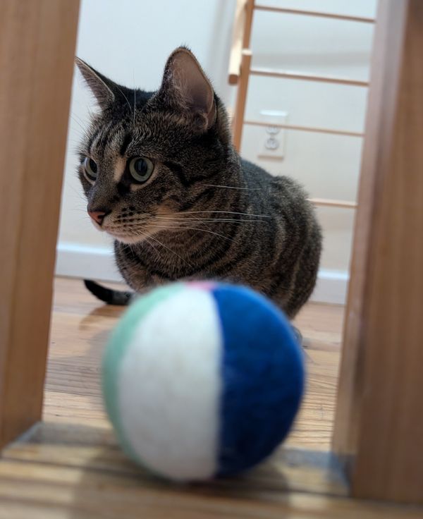 Service will end early