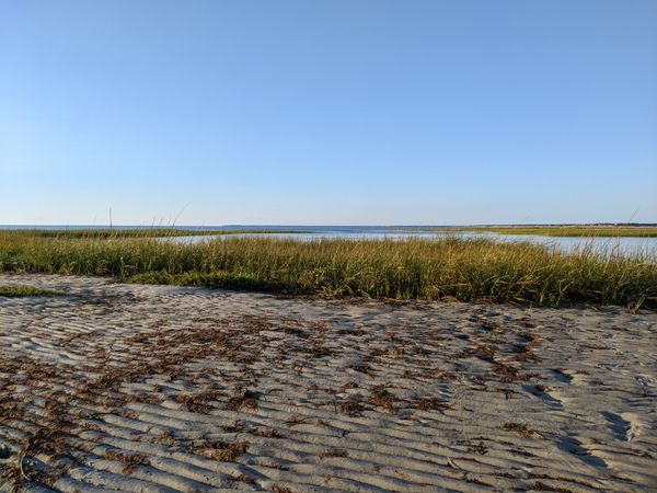 "I've been so good this week."