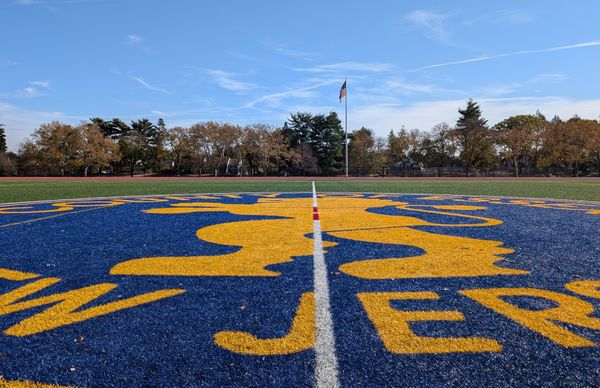 Can I tell you some good news?