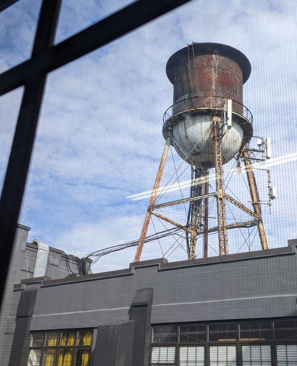 My stir-crazy privileges