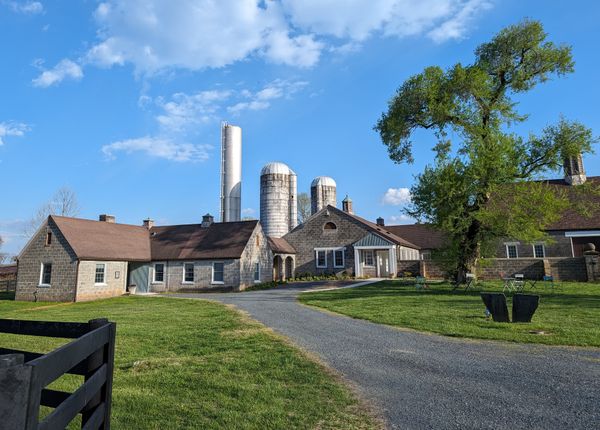 "What would Joan Didion do?"