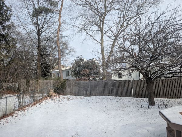 The book is not a tote.