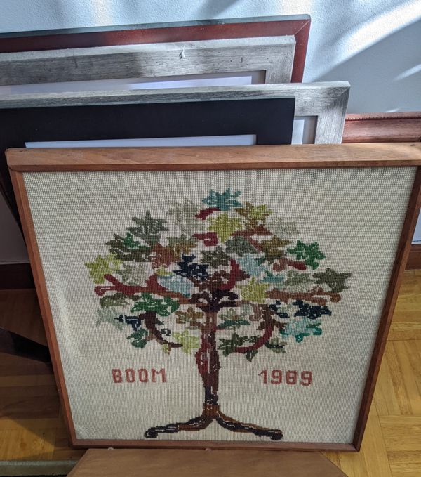 A tree grows in Belgium