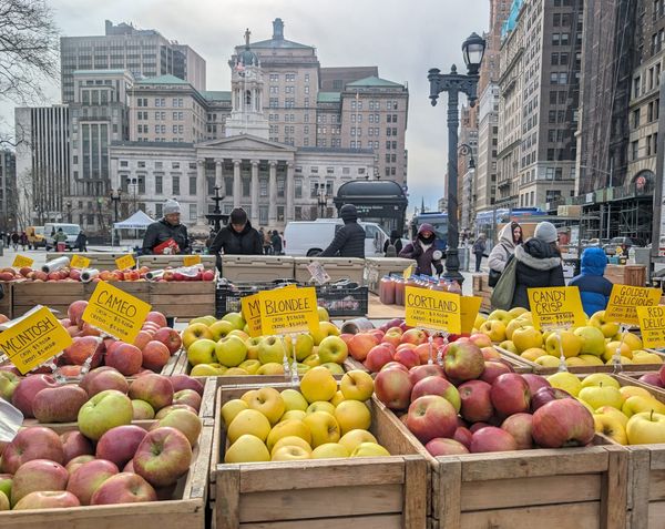 A runner can be a rug