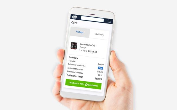 Dama Financial's product Paytender allows safe, mobile-based financial transactions