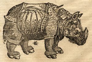 AI ... and the rhinoceros in the room redux