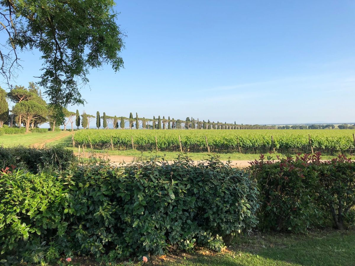 How Should Luxury Brands Use AI To Be Successful?