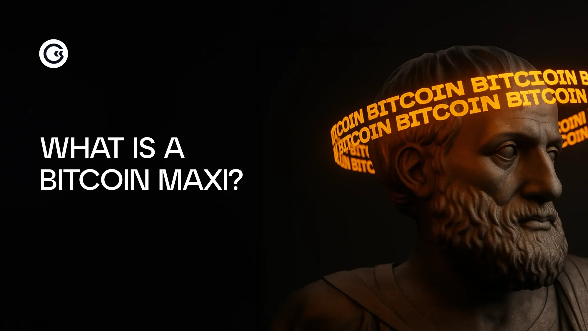 What’s a Bitcoin Maxi?