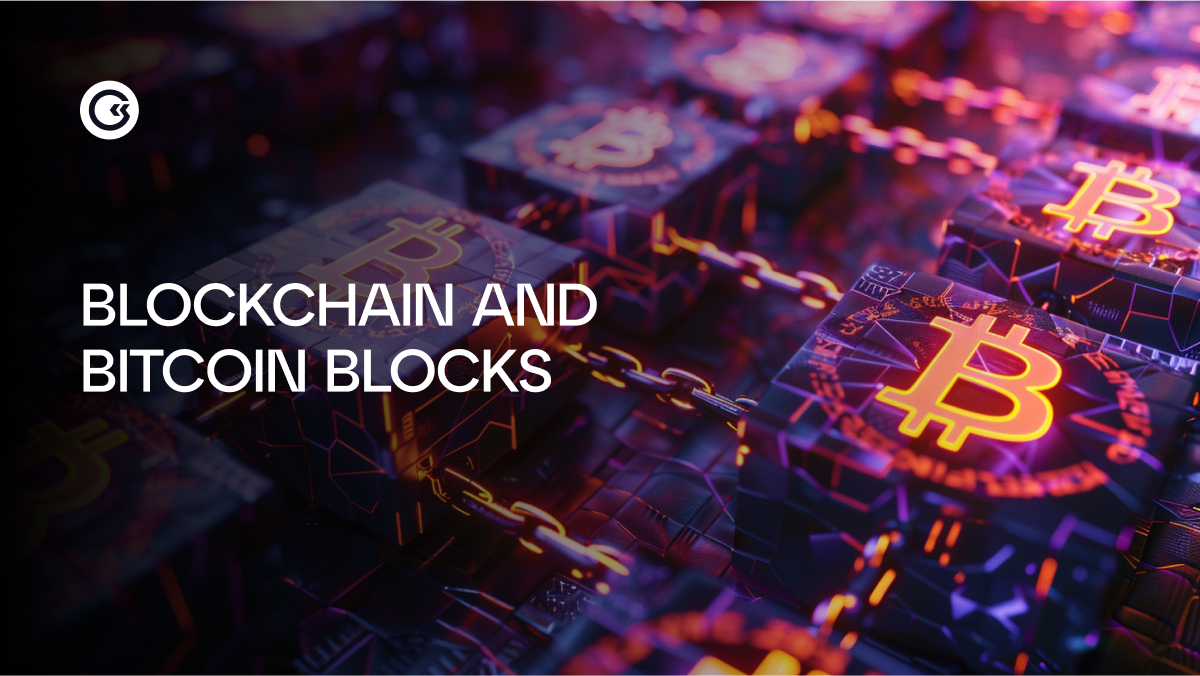 How to Read the Blockchain and What Are Bitcoin Blocks?