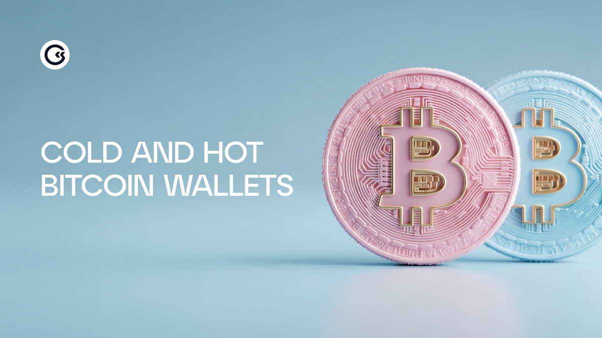 Qu'est-ce qu'un portefeuille Bitcoin chaud et froid ?