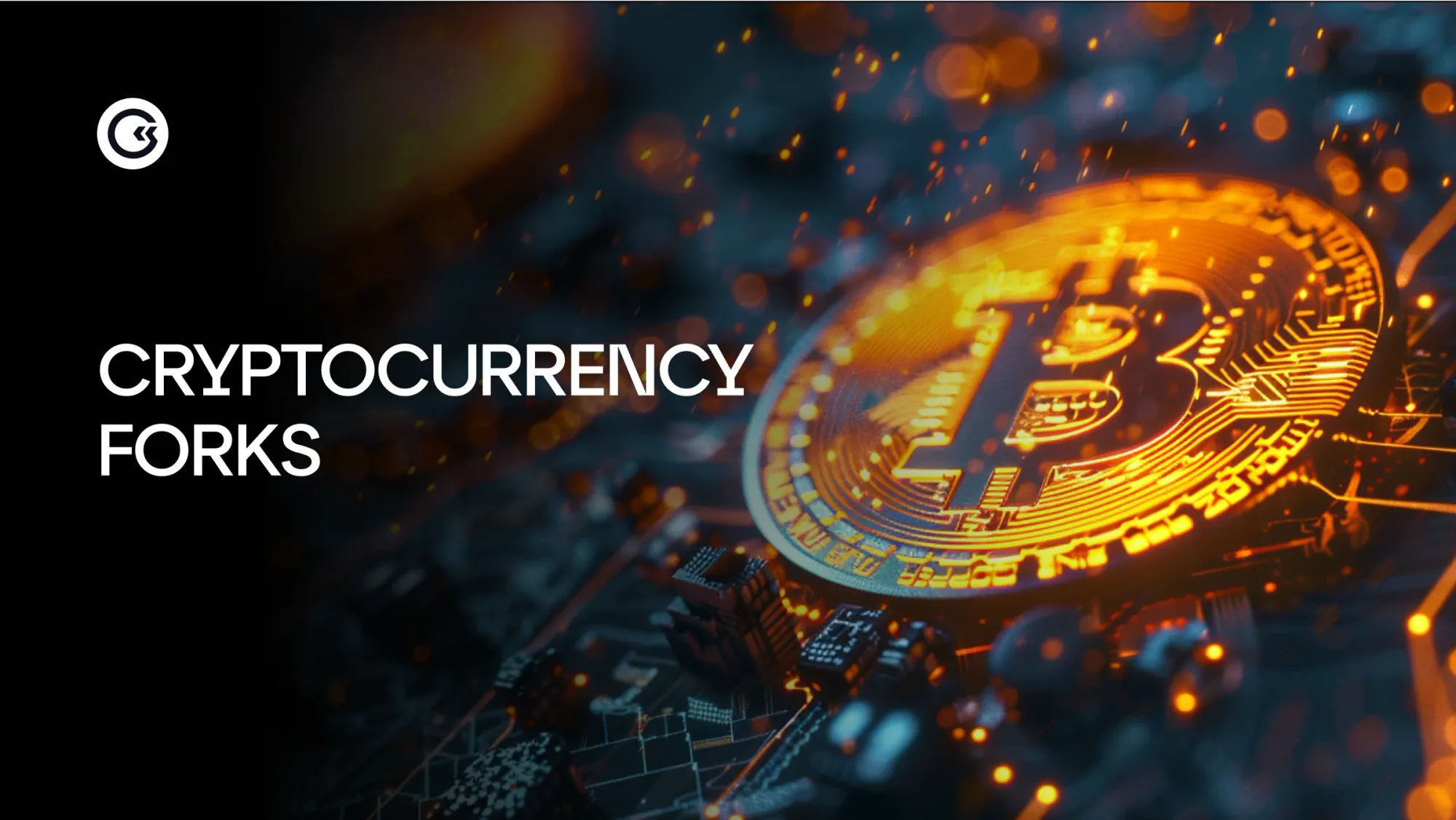 What are Cryptocurrency Forks and How Do They Affect the Market?