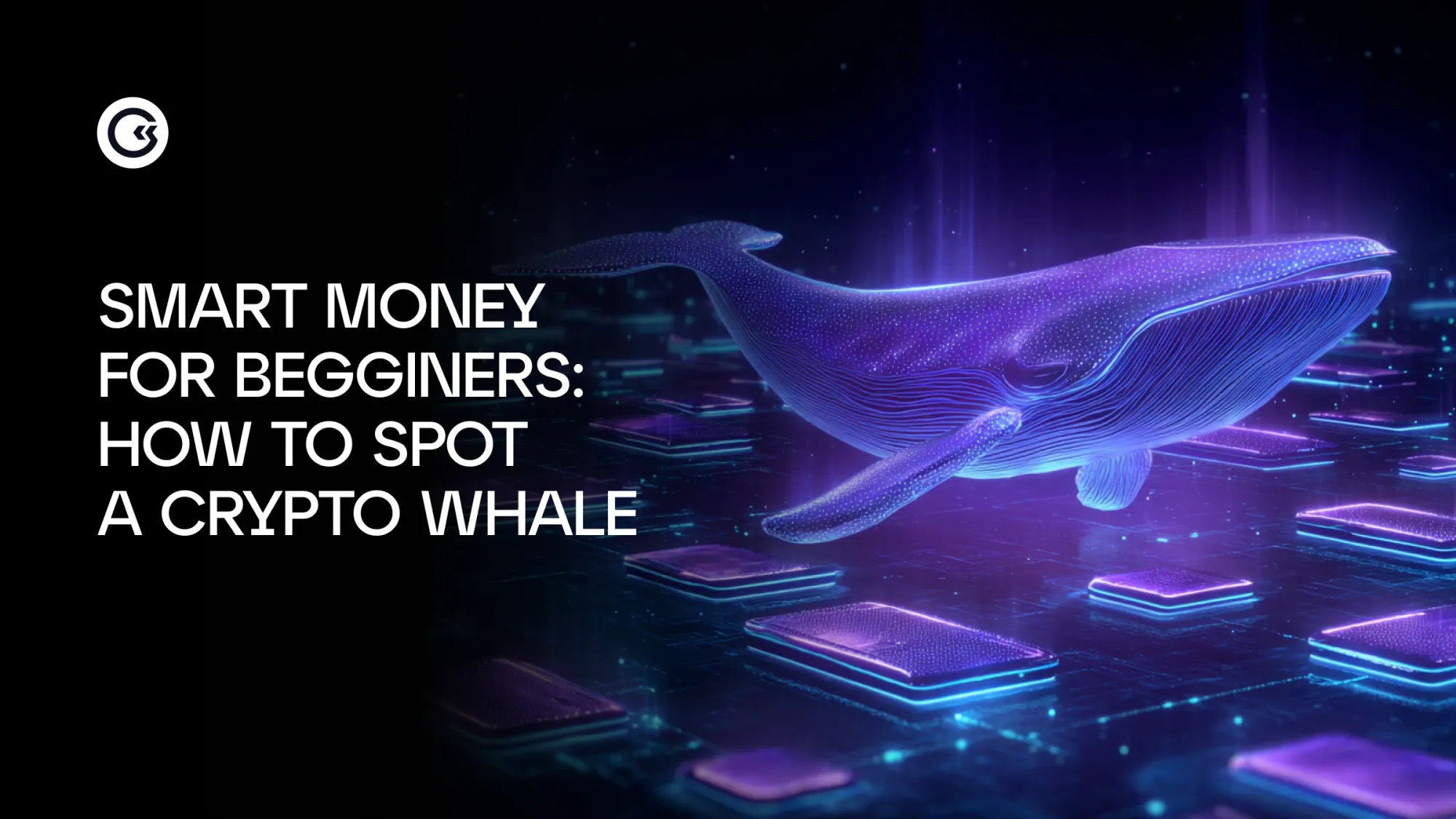 暗号通貨のクジラとは何か、そしてその見分け方