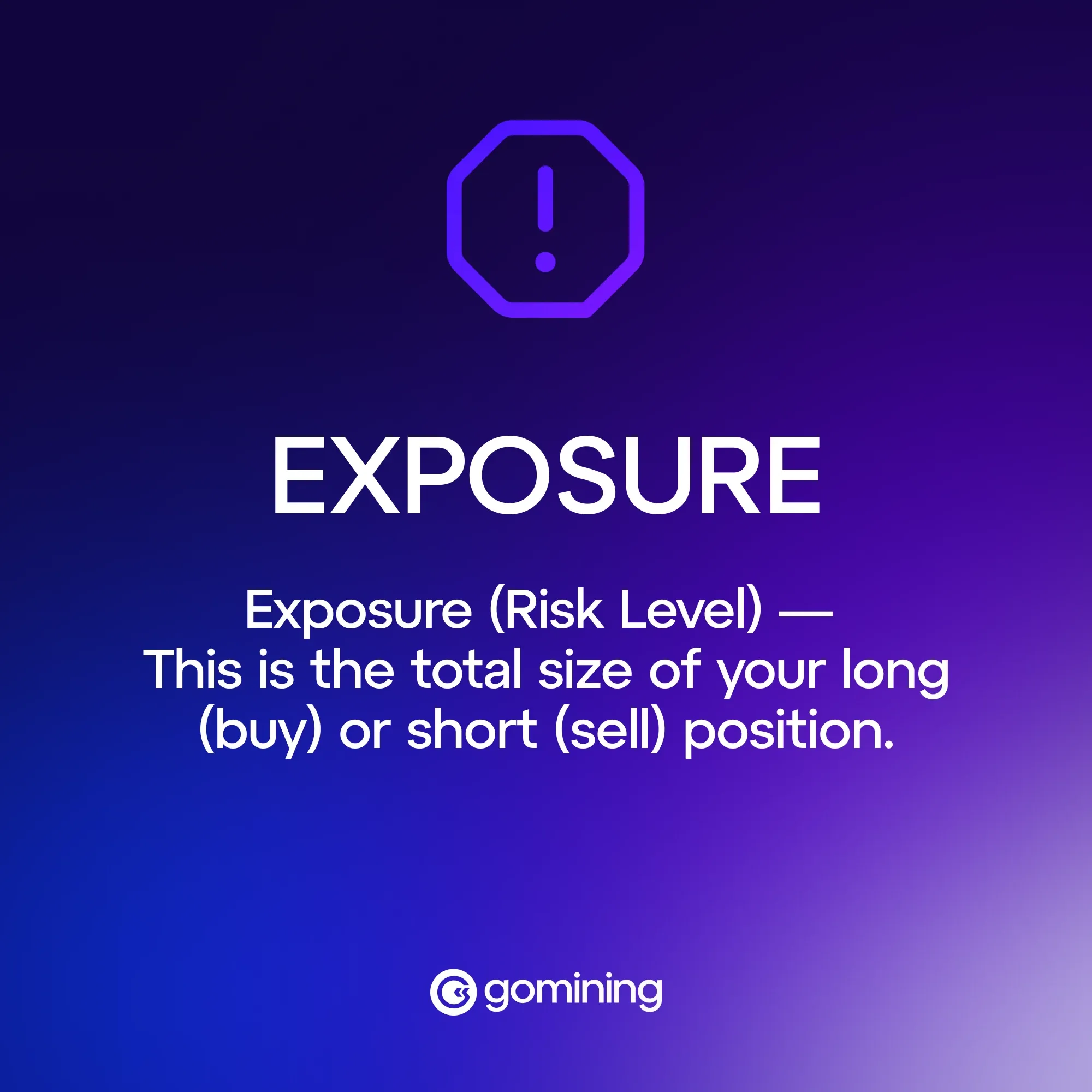Exposure — Level of risk in crypto - Definition
