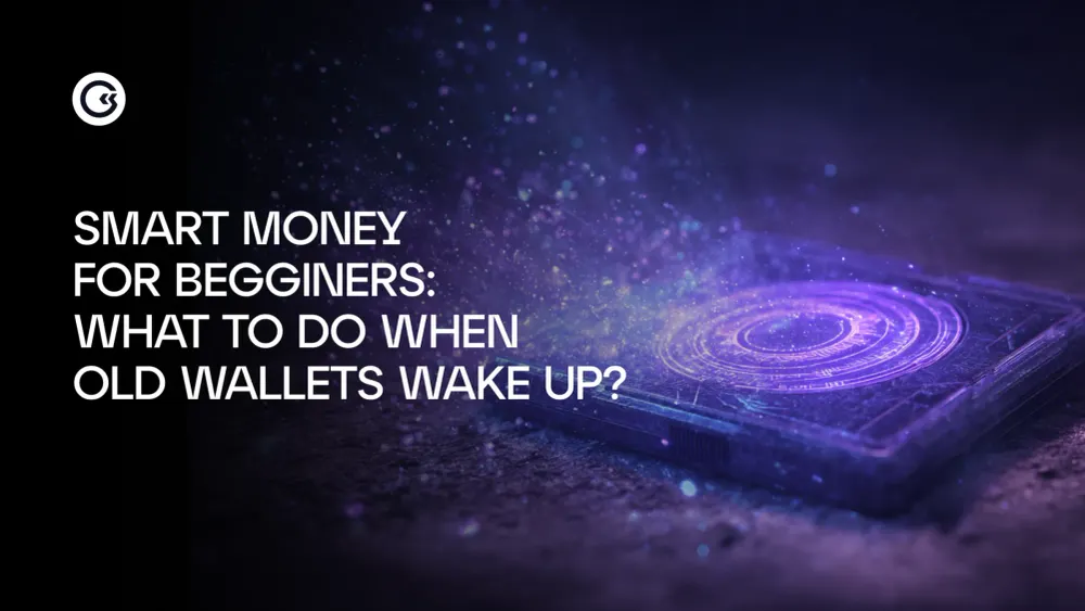 Smart Money for Beginners: What To Do When Old Wallets Wake Up?