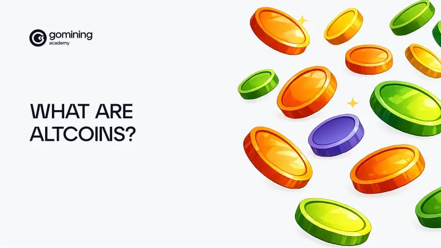 What Are Altcoins?