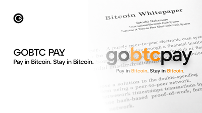 GoBTC Pay: Bitcoin, Finally, As Money