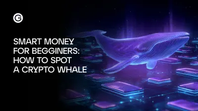 من هم كبار المستثمرون في العملات المشفرة وكيف يمكن التعرف عليهم